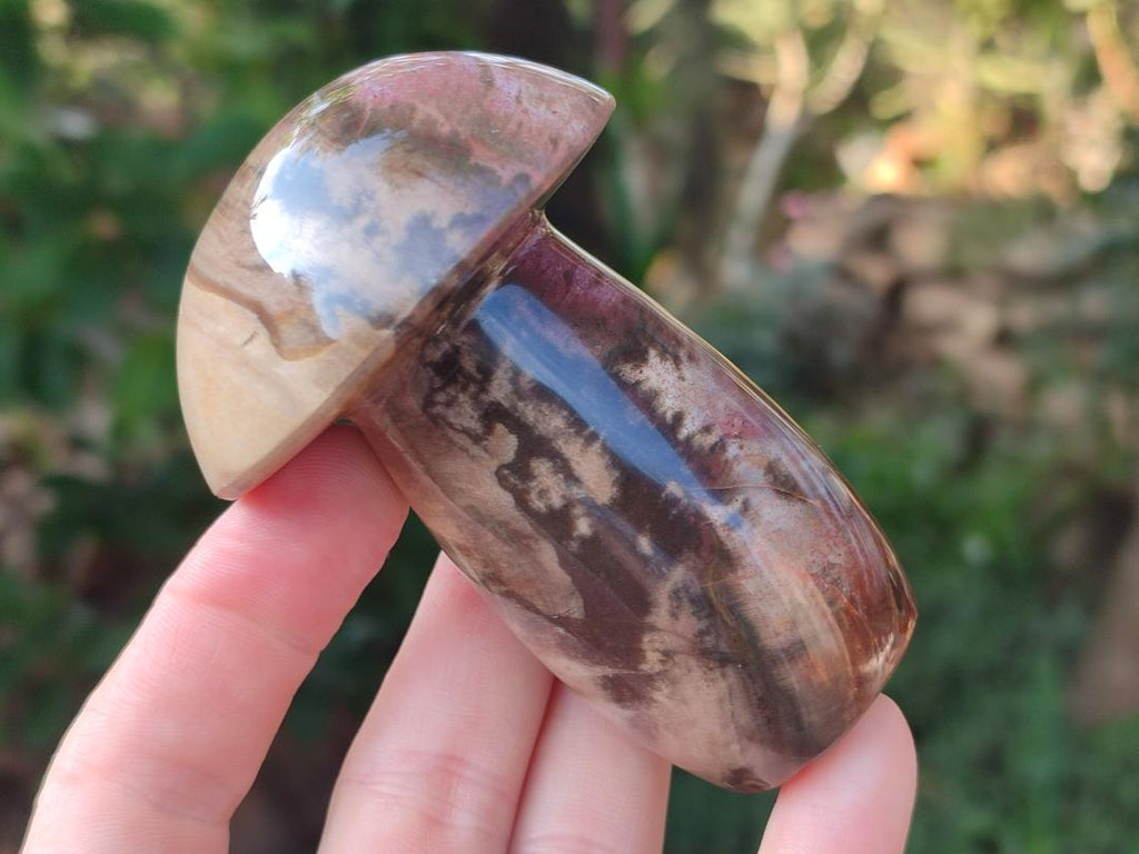Polished Podocarpus Petrified Wood Mushroom Carving x 1 From Mahajanga Madagascar