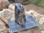 Polished Tourmalinated Inclusion Quartz Crystal x 1 From Madagascar