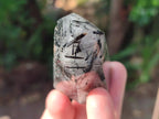 Polished Tourmalinated Inclusion Quartz Crystal x 1 From Madagascar