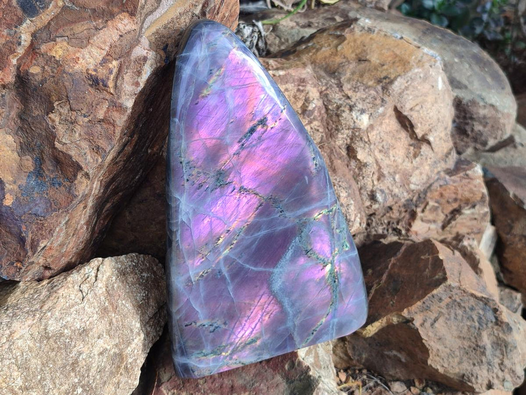 Polished XL Purple Sunset Labradorite Standing Free Form x 1 From Tulear, Madagascar