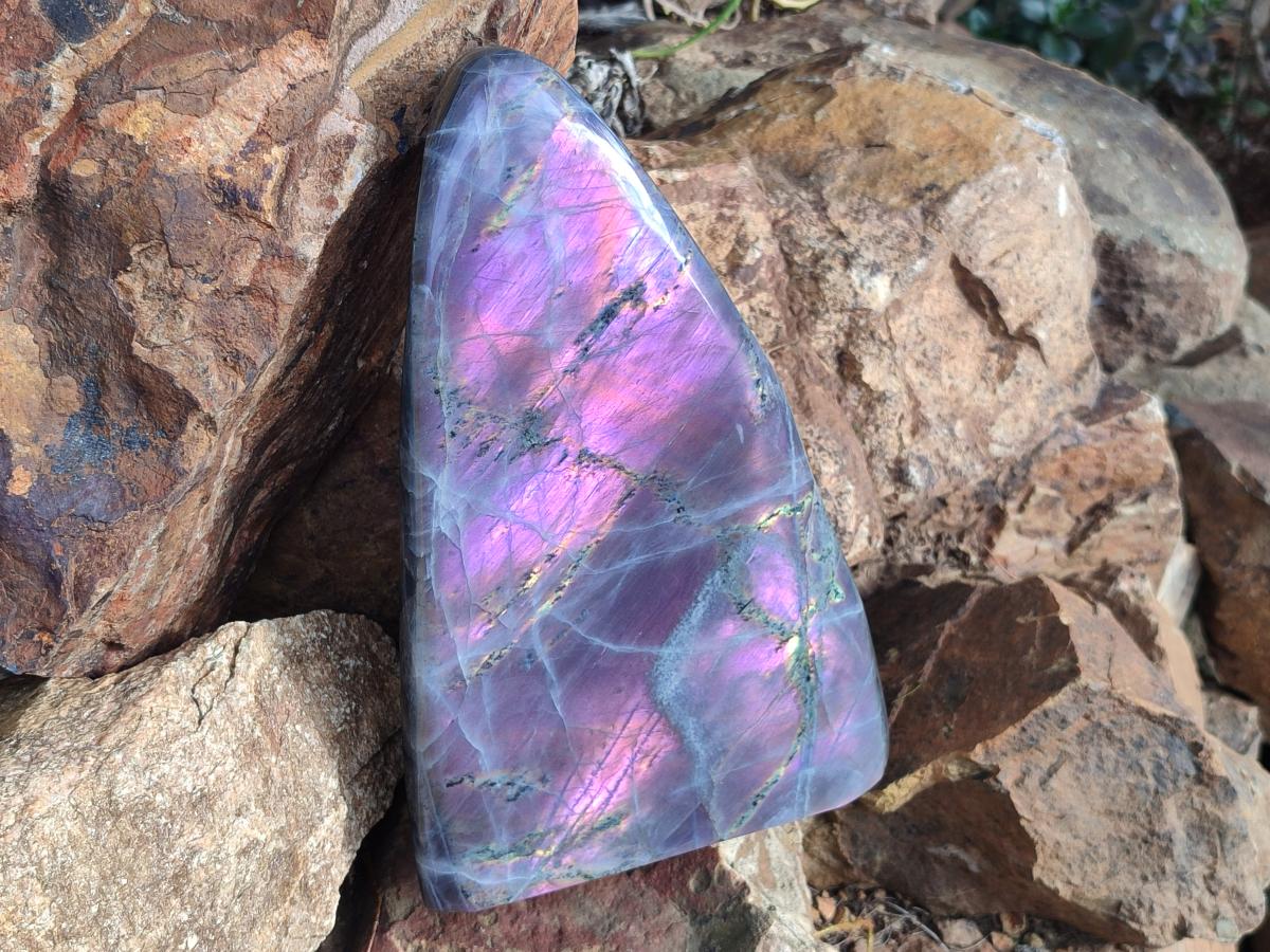 Polished XL Purple Sunset Labradorite Standing Free Form x 1 From Tulear, Madagascar