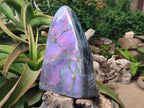 Polished XL Purple Sunset Labradorite Standing Free Form x 1 From Tulear, Madagascar