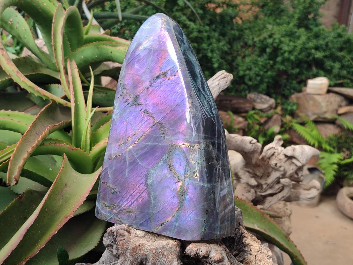 Polished XL Purple Sunset Labradorite Standing Free Form x 1 From Tulear, Madagascar