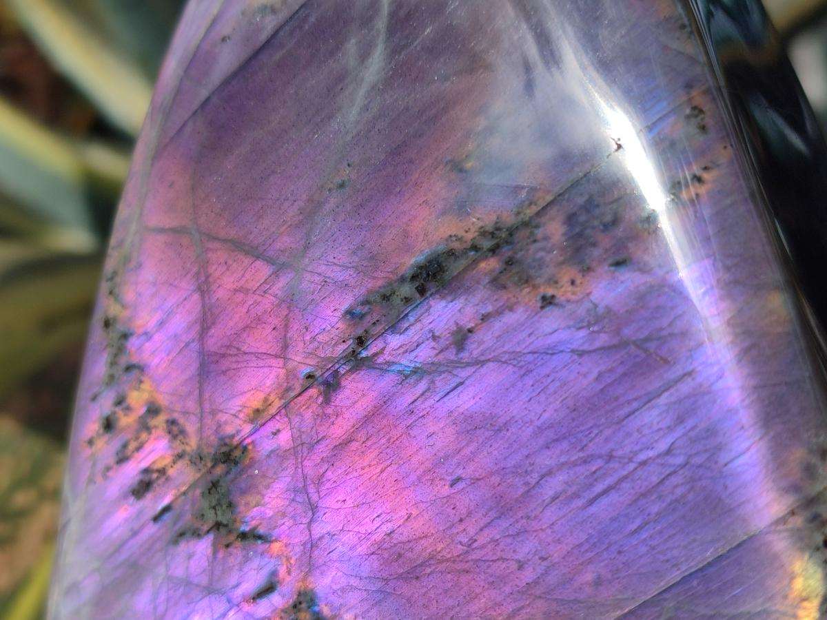 Polished XL Purple Sunset Labradorite Standing Free Form x 1 From Tulear, Madagascar