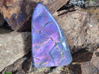 Polished XL Purple Sunset Labradorite Standing Free Form x 1 From Tulear, Madagascar