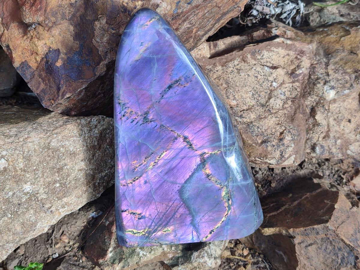 Polished XL Purple Sunset Labradorite Standing Free Form x 1 From Tulear, Madagascar