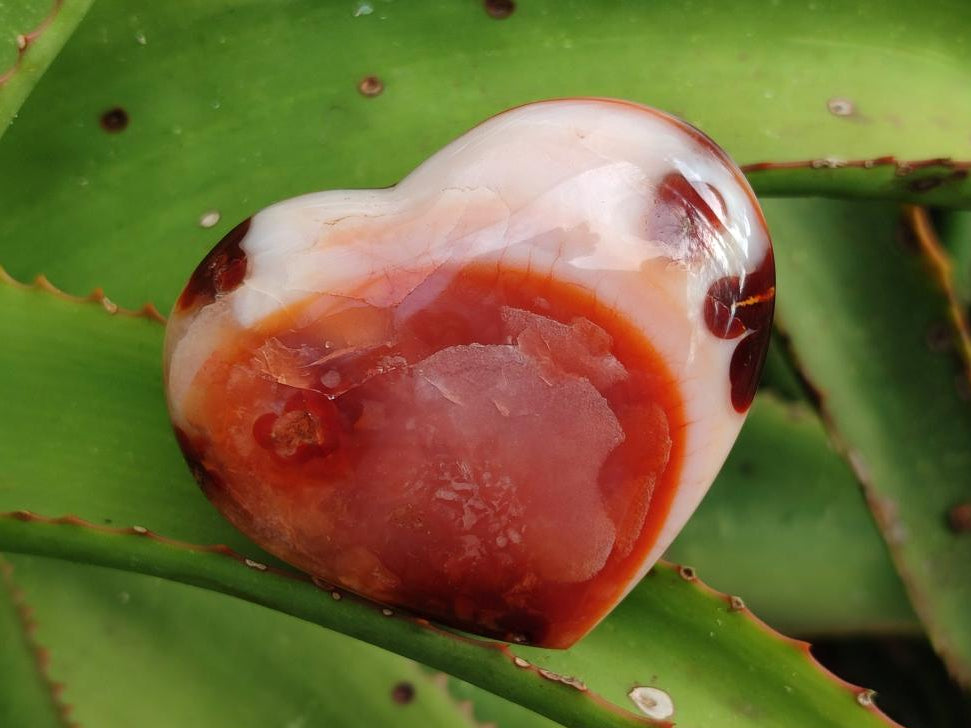 Polished Red Spotty Carnelian Gemstone Heart x 1 From Madagascar