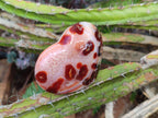 Polished Red Spotty Carnelian Gemstone Heart x 1 From Madagascar