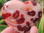 Polished Red Spotty Carnelian Gemstone Heart x 1 From Madagascar