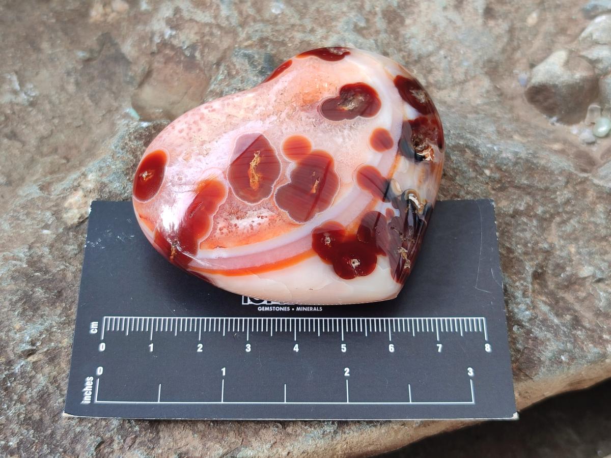 Polished Red Spotty Carnelian Gemstone Heart x 1 From Madagascar