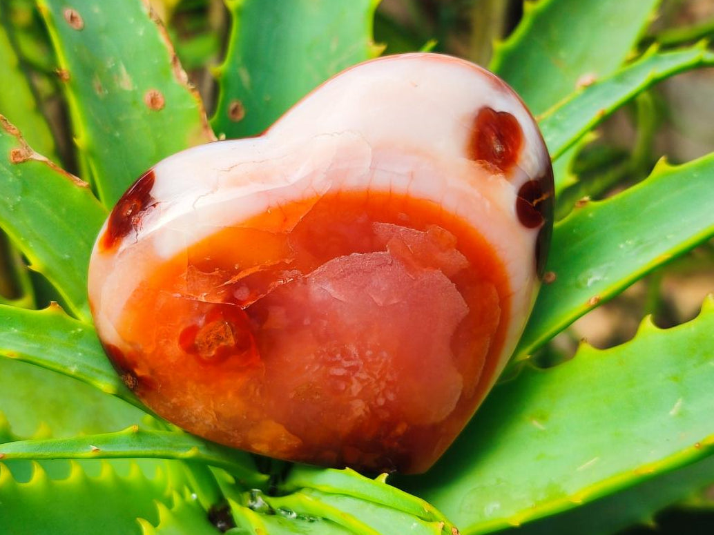 Polished Red Spotty Carnelian Gemstone Heart x 1 From Madagascar