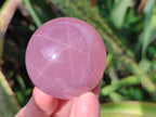 Polished Gemmy Star Rose Quartz Sphere with Rose Quartz Bowl Set x 1 From Ambatondrazaka, Madagascar