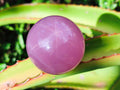 Polished Gemmy Star Rose Quartz Sphere with Rose Quartz Bowl Set x 1 From Ambatondrazaka, Madagascar