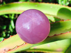 Polished Gemmy Star Rose Quartz Sphere with Rose Quartz Bowl Set x 1 From Ambatondrazaka, Madagascar