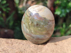 Polished Petrified Wood Free Form Galets Set of 3 x 1 From Mahajanga Madagascar