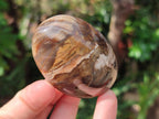 Polished Petrified Wood Free Form Galets Set of 3 x 1 From Mahajanga Madagascar
