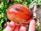 Polished Petrified Wood Free Form Galets Set of 3 x 1 From Mahajanga Madagascar