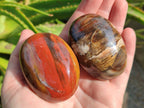 Polished Petrified Wood Free Form Galets Set of 3 x 1 From Mahajanga Madagascar