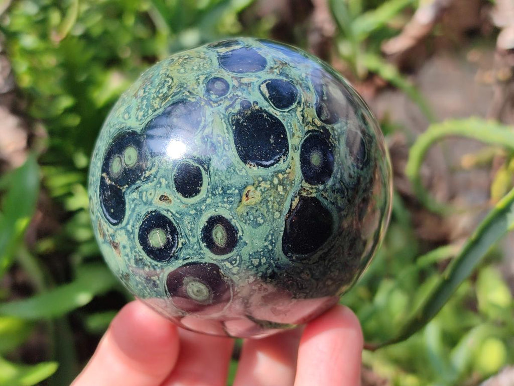 Polished Stromatolite Fossil Sphere x 1 From Mahajanga, Madagascar