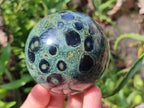 Polished Stromatolite Fossil Sphere x 1 From Mahajanga, Madagascar