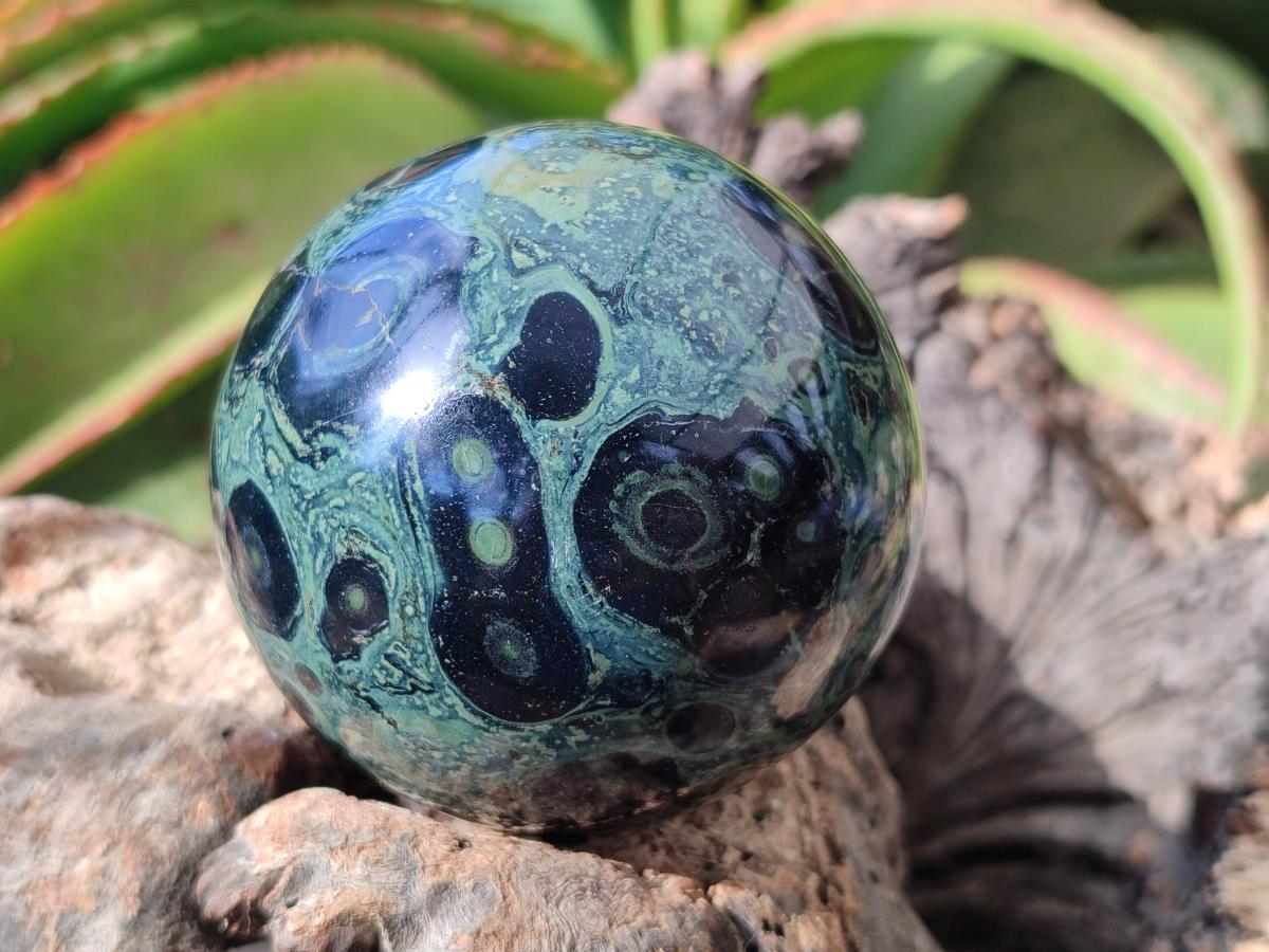 Polished Stromatolite Fossil Sphere x 1 From Mahajanga, Madagascar