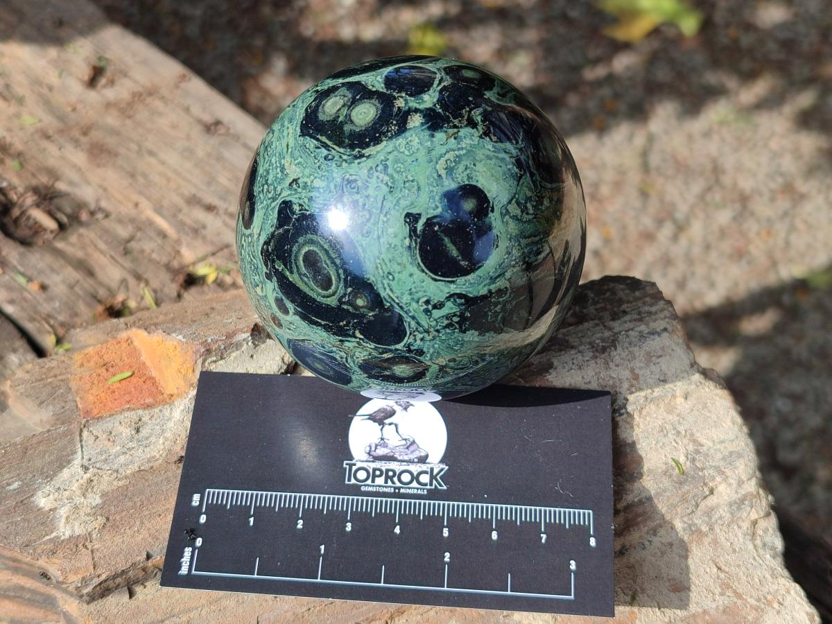 Polished Stromatolite Fossil Sphere x 1 From Mahajanga, Madagascar