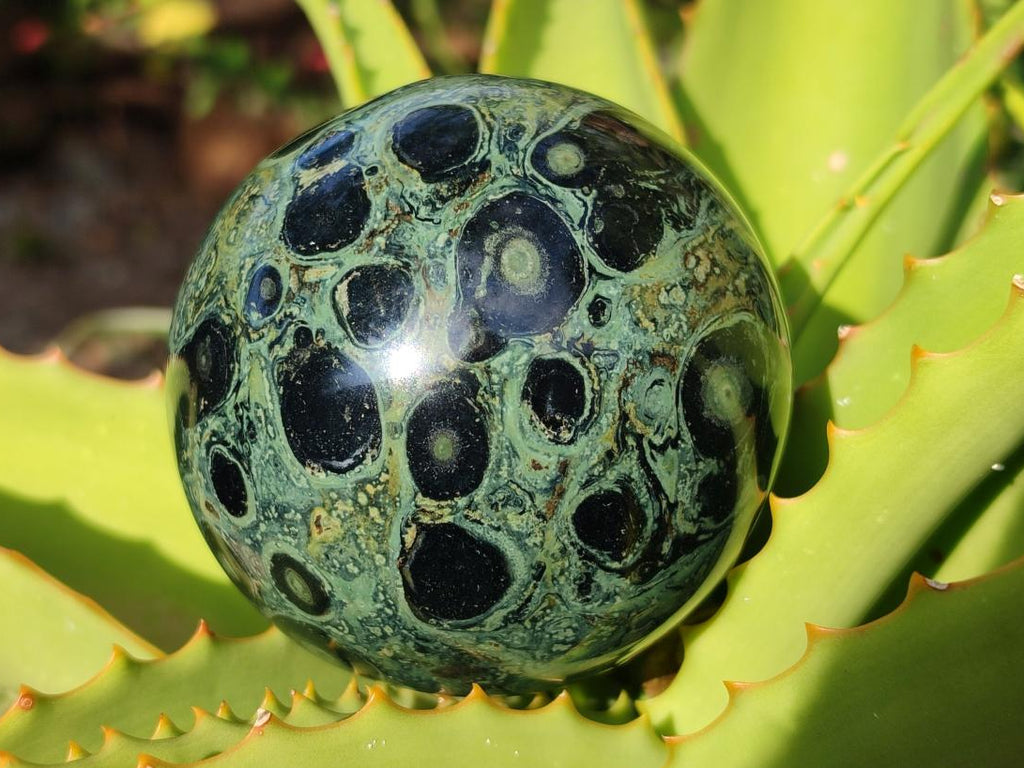 Polished Stromatolite Fossil Sphere x 1 From Mahajanga, Madagascar