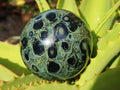 Polished Stromatolite Fossil Sphere x 1 From Mahajanga, Madagascar