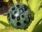 Polished Stromatolite Fossil Sphere x 1 From Mahajanga, Madagascar