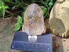 Polished Icy Frosted Veiled Clear Quartz Crystal with Biotite Inclusion x 1 From Madagascar