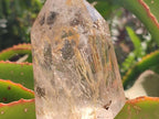 Polished Icy Frosted Veiled Clear Quartz Crystal with Biotite Inclusion x 1 From Madagascar
