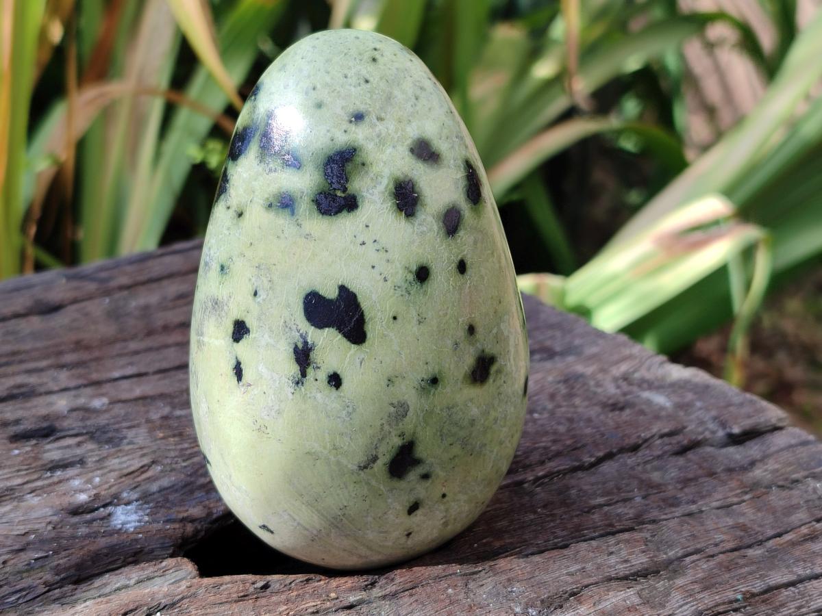 Polished XL Leopard Stone Free Form x 1 From Nyanga, Zimbabwe