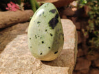 Polished XL Leopard Stone Free Form x 1 From Nyanga, Zimbabwe