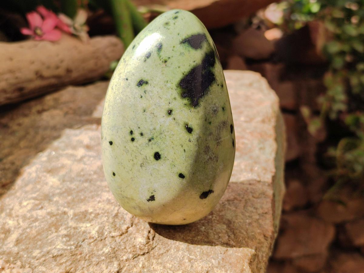 Polished XL Leopard Stone Free Form x 1 From Nyanga, Zimbabwe
