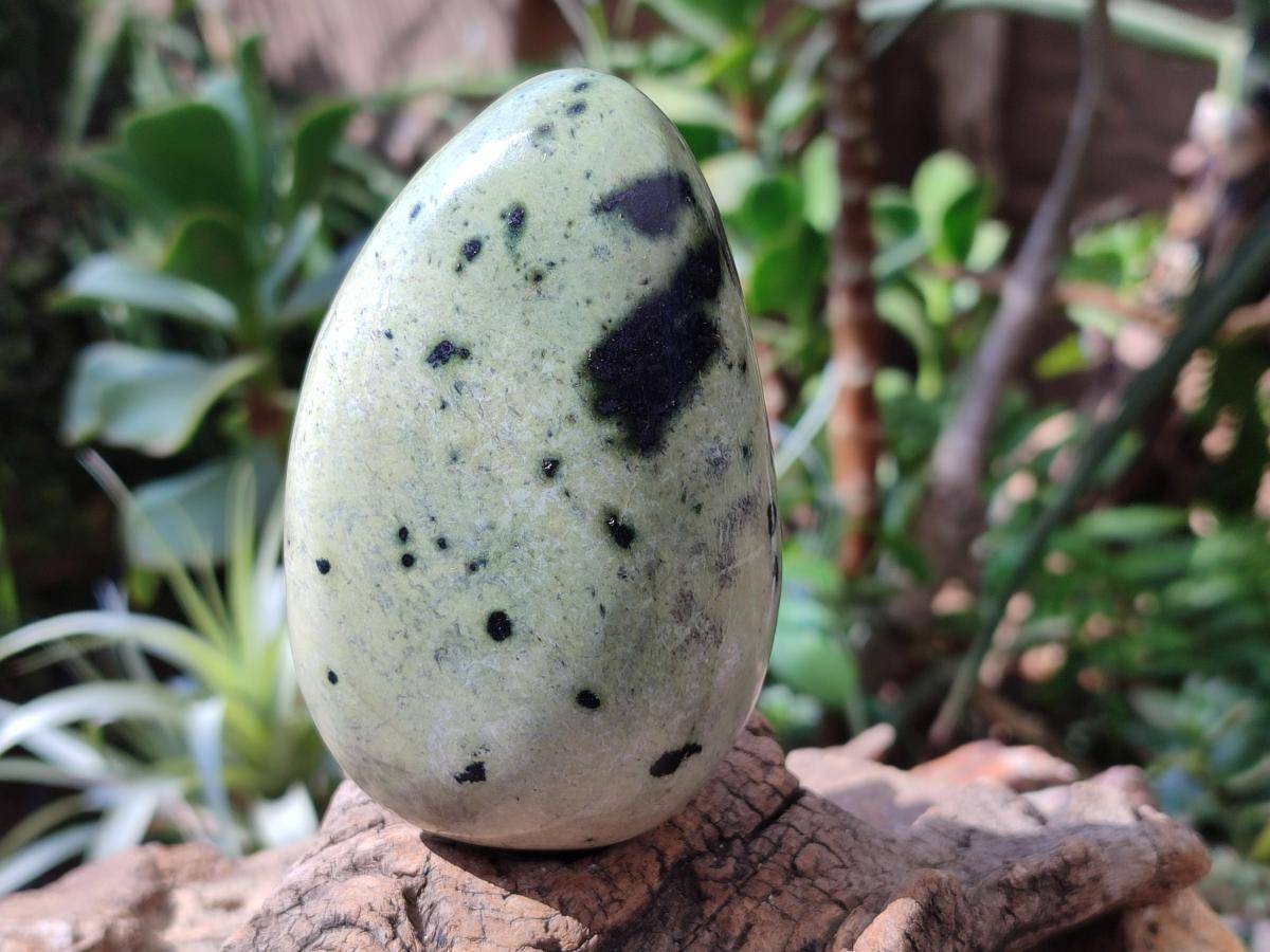 Polished XL Leopard Stone Free Form x 1 From Nyanga, Zimbabwe