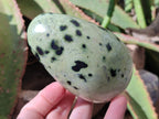 Polished XL Leopard Stone Free Form x 1 From Nyanga, Zimbabwe