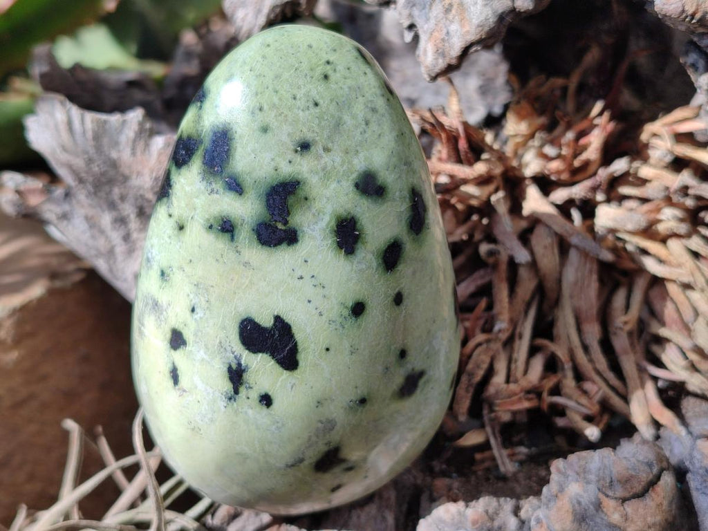 Polished XL Leopard Stone Free Form x 1 From Nyanga, Zimbabwe