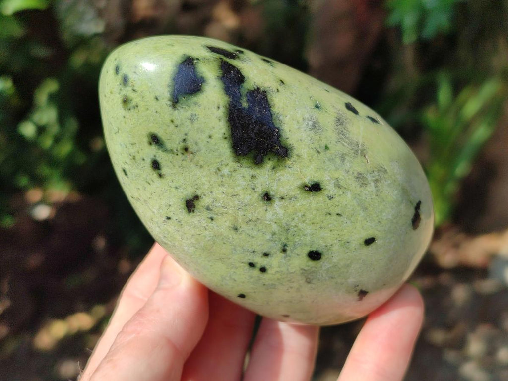 Polished XL Leopard Stone Free Form x 1 From Nyanga, Zimbabwe