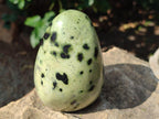 Polished XL Leopard Stone Free Form x 1 From Nyanga, Zimbabwe