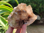 Natural Smokey Citrine Cascading Phantom Crystal Cluster x 1 From Luena, Congo