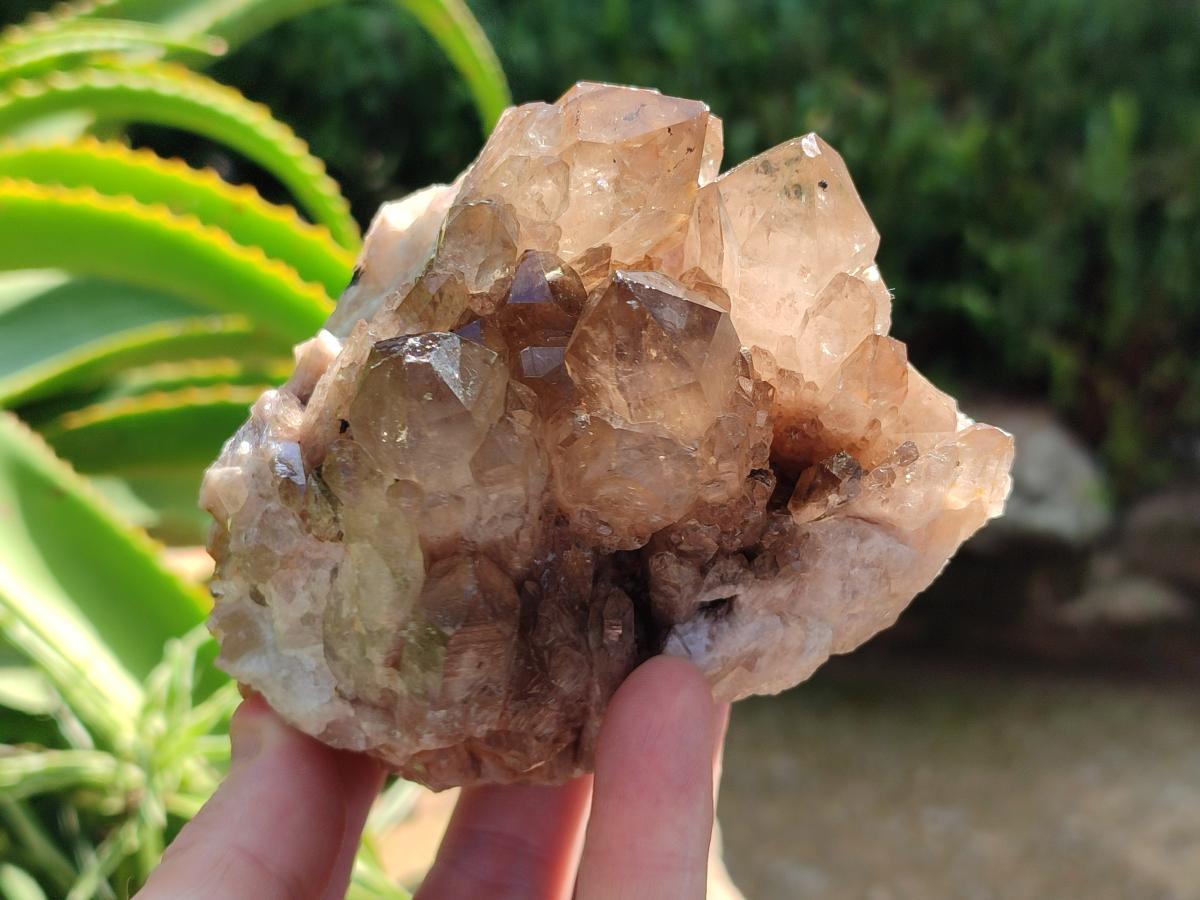 Natural Smokey Citrine Cascading Phantom Crystal Cluster x 1 From Luena, Congo