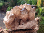 Natural Smokey Citrine Cascading Phantom Crystal Cluster x 1 From Luena, Congo