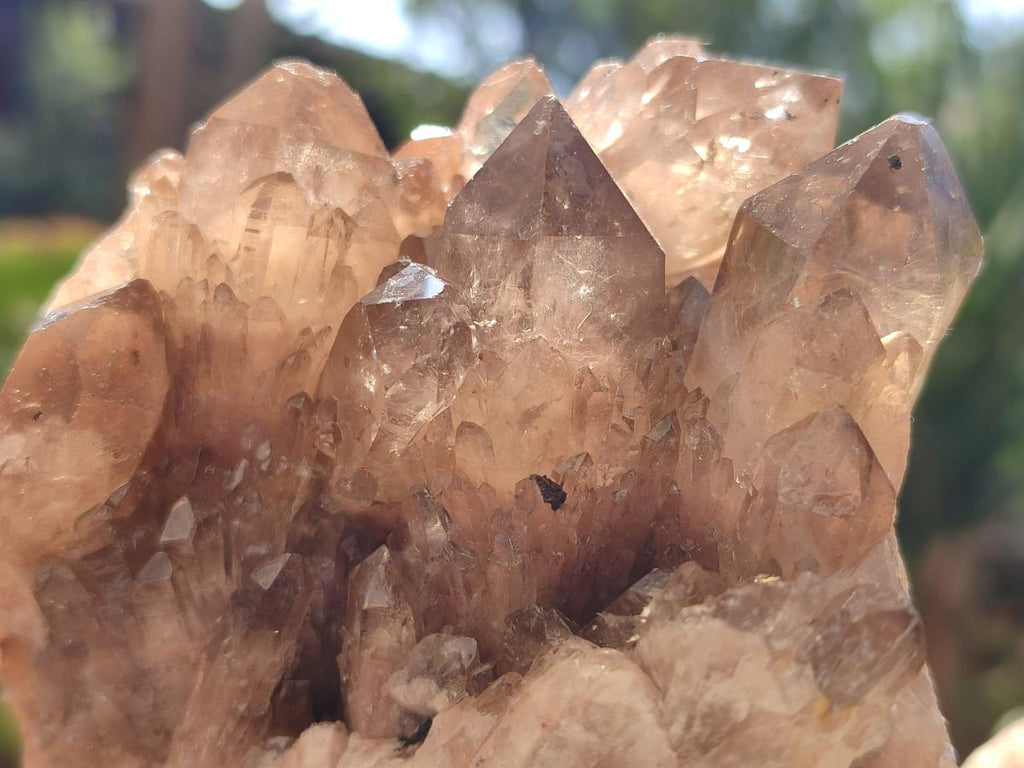 Natural Smokey Citrine Cascading Phantom Crystal Cluster x 1 From Luena, Congo