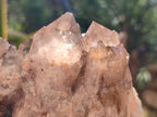 Natural Smokey Citrine Cascading Phantom Crystal Cluster x 1 From Luena, Congo