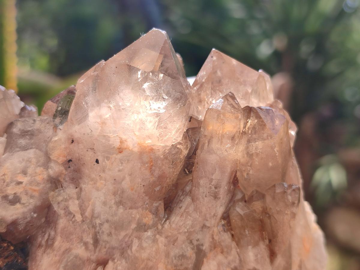 Natural Smokey Citrine Cascading Phantom Crystal Cluster x 1 From Luena, Congo