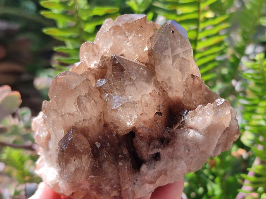 Natural Smokey Citrine Cascading Phantom Crystal Cluster x 1 From Luena, Congo