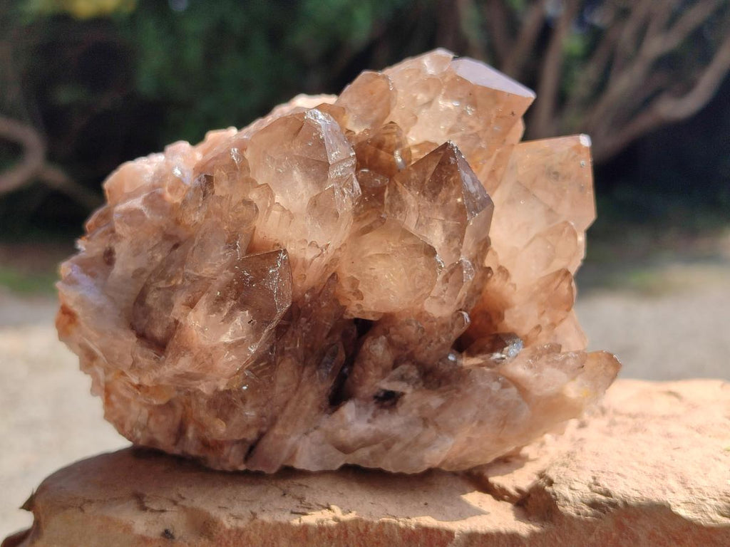 Natural Smokey Citrine Cascading Phantom Crystal Cluster x 1 From Luena, Congo
