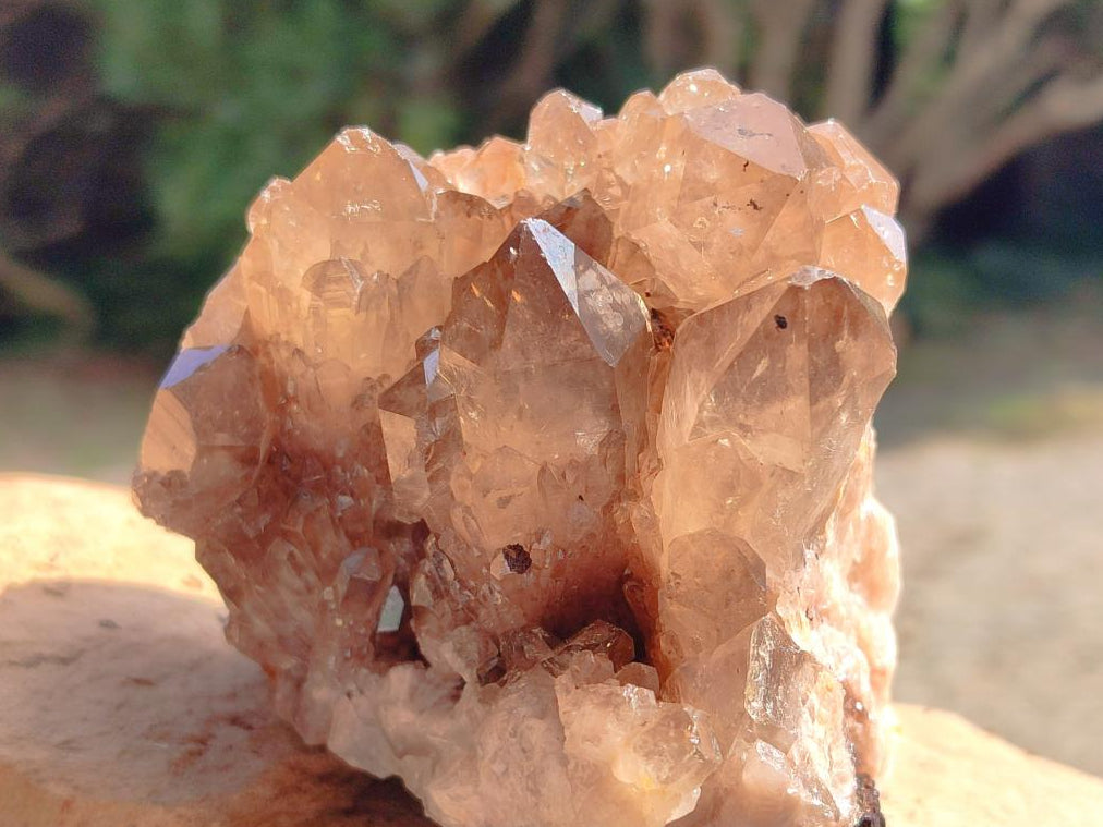 Natural Smokey Citrine Cascading Phantom Crystal Cluster x 1 From Luena, Congo