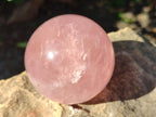 Polished Gemmy Star Rose Quartz Sphere x 1 From Ambatondrazaka, Madagascar