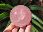 Polished Gemmy Star Rose Quartz Sphere x 1 From Ambatondrazaka, Madagascar